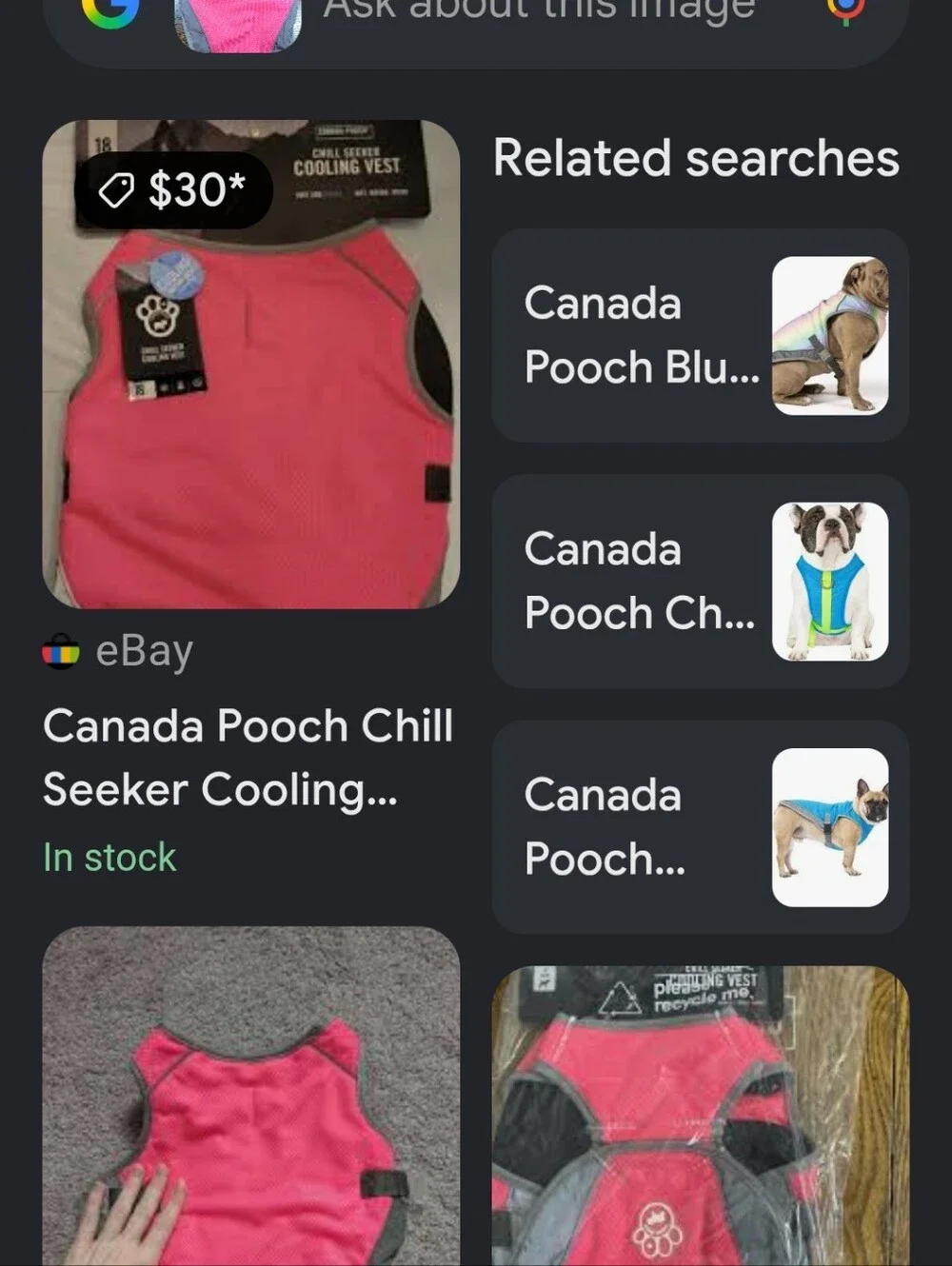 Canada Pooch Chill Seeker Cooling Vest - Hot Pink & Gray